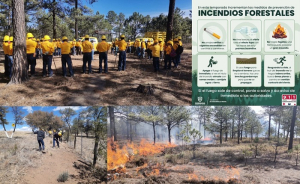 Intensifican brigadas operativos preventivos contra incendios forestales por periodo vacacional