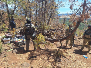 Desarticulan campamento de delincuentes en  Madera