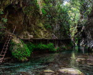 Impulsan el turismo en la sierra tarahumara