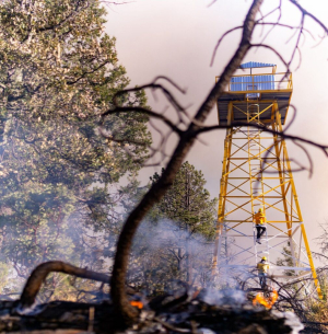 Registran dos incendios forestales, uno en Guachochi
