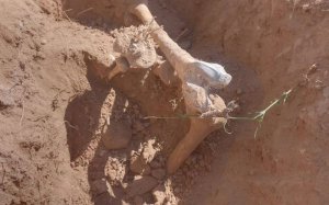 Hallan osamenta y restos humanos en Bocoyna