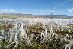 Se congela la region, Cuauht&eacute;moc  8 grados bajo cero