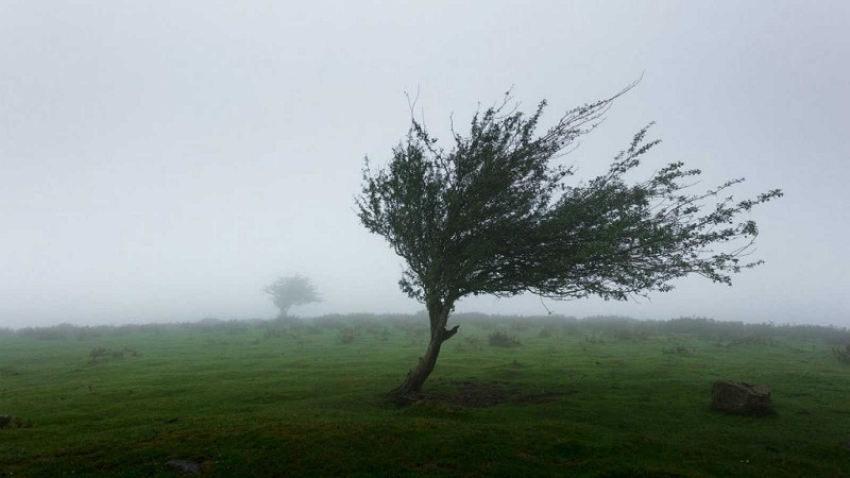 Previenen fuertes vientos este fin de semana en la regi&oacute;n