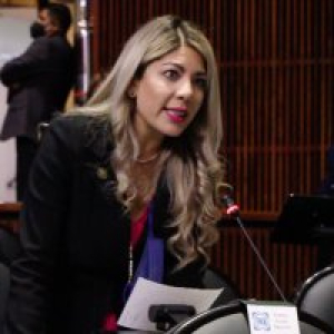 Fortalecen denuncias en contra de Cruz P&eacute;rez Cuellar