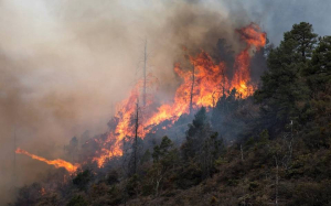 Se&ntilde;alan a militares como responsables de los incendios en Moris