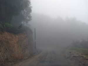 Frente frio 33 convierte a la regi&oacute;n en un refrigerador