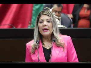 "Muerte y Morena es lo mismo" : PAN