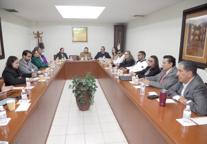 Analiza Gobernaci&oacute;n y Puntos Constitucionales caso de  Personas Juzgadoras