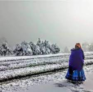 Se recrudece el frio en la Sierra Tarahumara, podr&iacute;a registrarse hasta 7 grados bajo cero