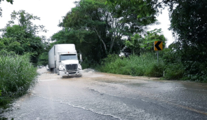 Prev&eacute;n lluvias y fuertes vientos en gran parte del Estado