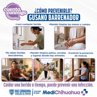 Datos preventivos contra el Gusano Barrenador