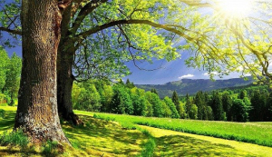 Pronostican d&iacute;a soleado con temperatura de 26 grados cent&iacute;grados