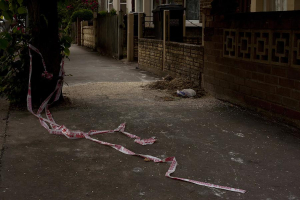 Cerro 2024 con 2052  homicidios, Cuauht&eacute;moc registro 128
