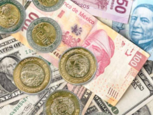 Seguira Coesvi con presupuesto de $87 millones