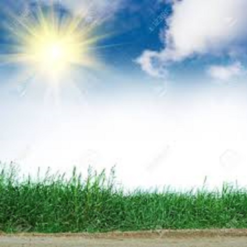 Dia despejado y caluroso en Cuauhtémoc