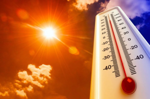 Alertan por onda de calor en la regi&oacute;n
