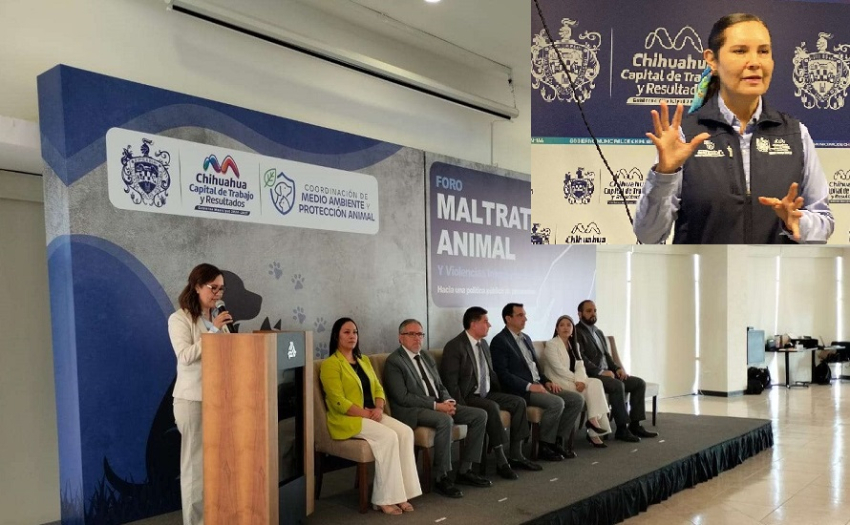 En foro, capacitan a servidores sobre el maltrato animal