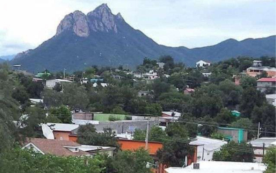 Se congela el Vergel con 3 grados bajo cero, Cuauhtémoc con 2.5