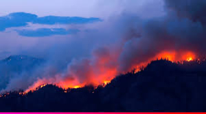 Siguen los incendios forestales en Madera