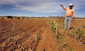 En sequ&iacute;a el 100% de la entidad; Cuauhtemoc con situaci&oacute;n extrema