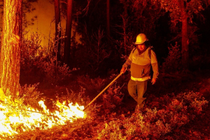 Env&iacute;an brigadas especiales a Cusihuiriachi para combatir incendios