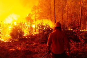 Controlan incendios en Madera, siguen 5 activos
