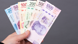 Cuauhtemenses con un promedio salarial de 15 mil pesos mensuales