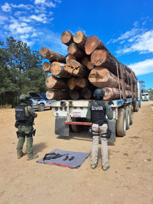 Aseguran cami&oacute;n con trasporte ilegal de madera