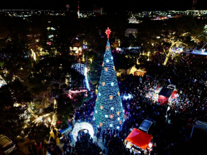 Encienden de navidad en la plaza principal