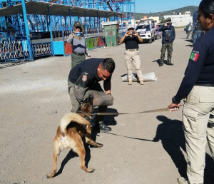 Capacitan a Polic&iacute;as de K9 en Simposio de Unidades Caninas, en Tlaxcala