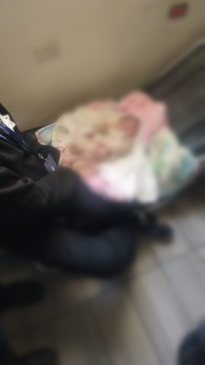 Buscan a madre que abandon&oacute; a bebe en la catedral