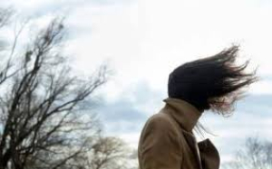 Seguir&aacute;n fuertes vientos con frente frio 35