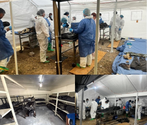 Analizados 323 cuerpos, informa la Direcci&oacute;n de Servicios Periciales y Ciencias Forenses
