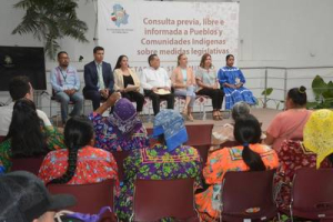 Concluyen los foros ind&iacute;genas con el Congreso del estado