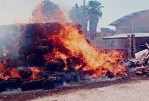 Se incendian mil pacas de rastrojo en La Quemada