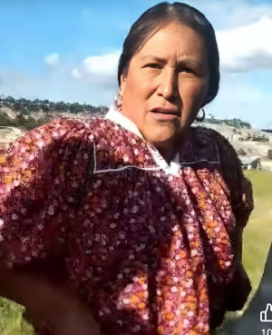 Asesinan a ex regidora en San Ignacio de Arareko; investigan m&oacute;vil