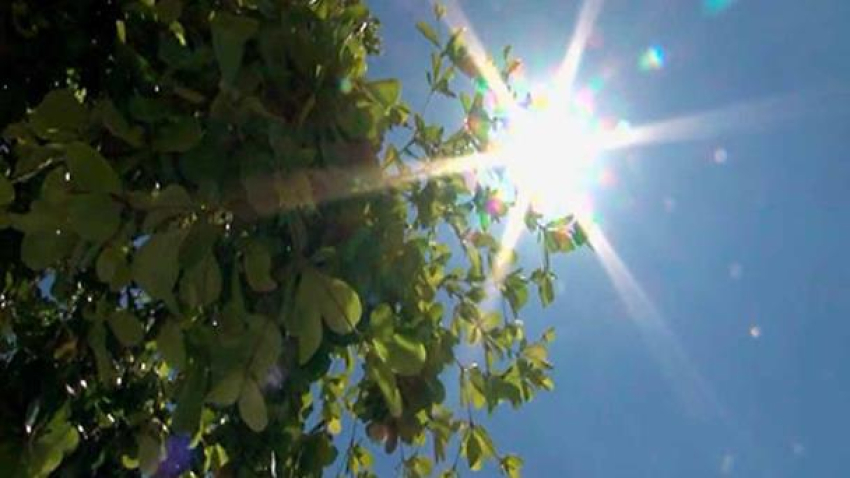 Dia caluroso con nubles parciales, máxima de 27 grados