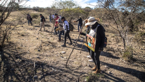 Localizan dos cuerpos sin vida en la Noria