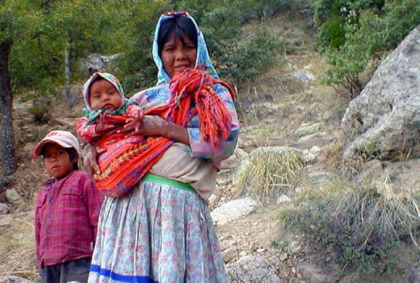 Proponen sala especializada para justicia indígena