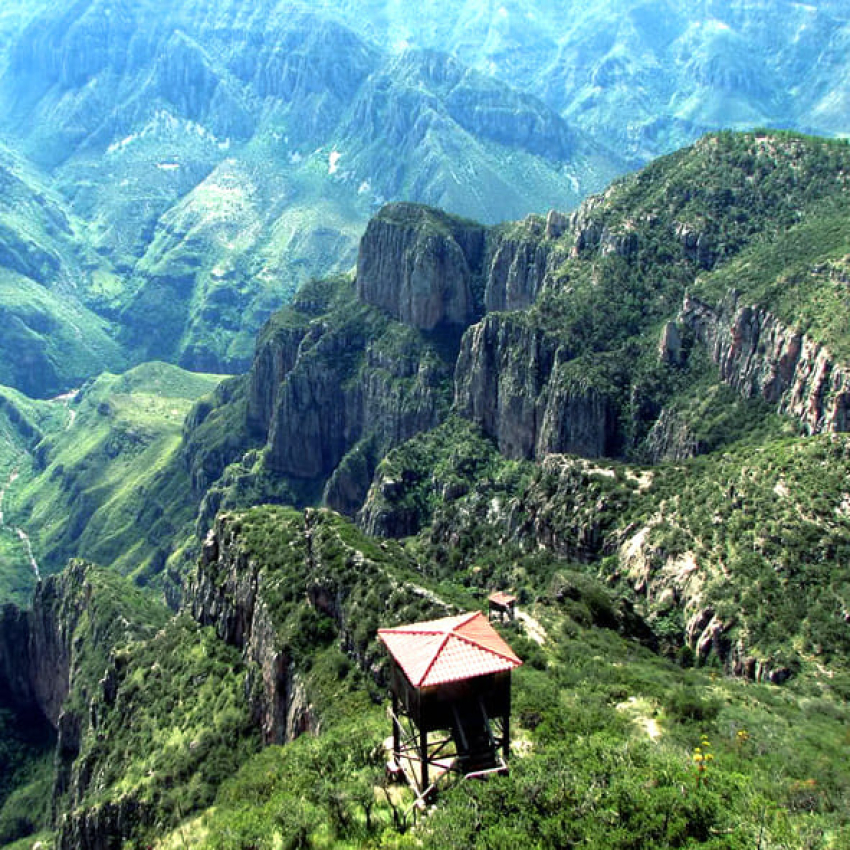 Muere trabajador en Uruachi, cayó en un barranco