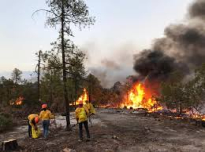 Incendios forestales en Guerrero y Madera destruyen hectáreas