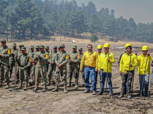 Controlados todos los incendios en la sierra tarahumara