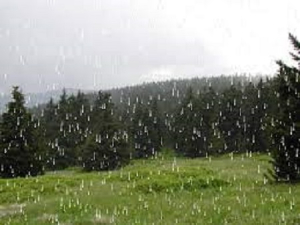 Hoy d&iacute;a c&aacute;lido con lluvia ligera por la tarde