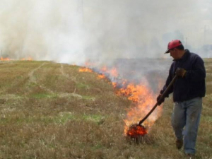 Suspenden quema de hierba seca en el cerro de Ruelas