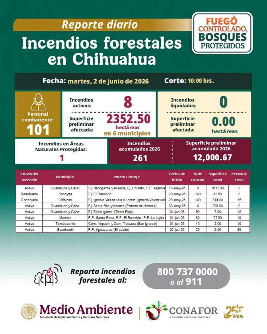 Afectan incendios 12 mil hectáreas en la Sierra Tarahumara