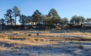 Registran primeras heladas fuertes, -5.8&deg;C en El Vergel