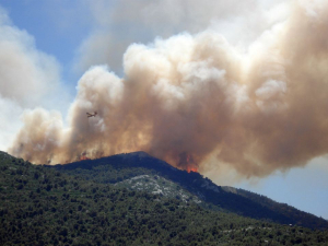 Acci&oacute;n inmediata de incendios forestales afirma Gobierno
