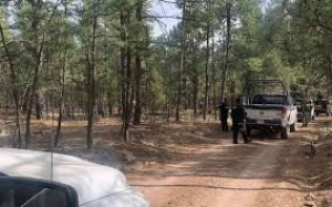Enfrentamiento en Madera deja dos muertos