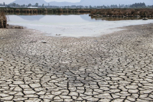 Solicita CEACH exploraci&oacute;n en 40 pozos ante la sequia en la entidad