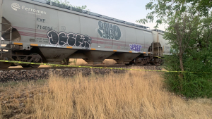 Arrolla y mata tren a joven de 22 a&ntilde;os